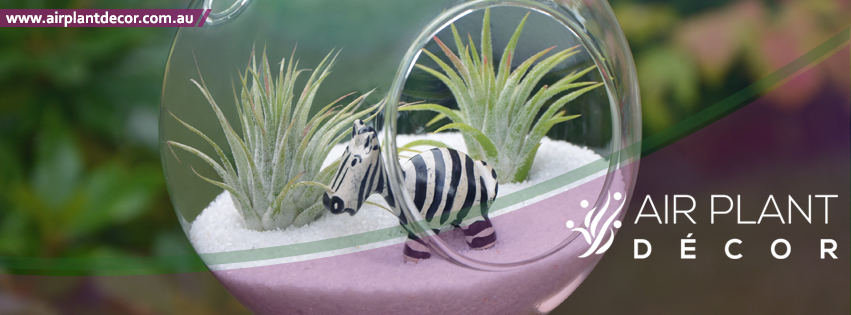 Facebook Design by Designtwitt for this project | Design #6595148