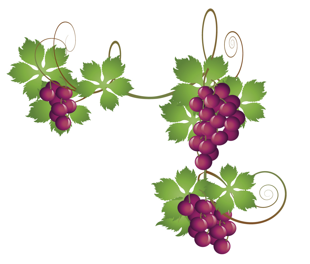 Graphic Design by cat for www.Gifts4GrapeLovers.com | Design #1730080