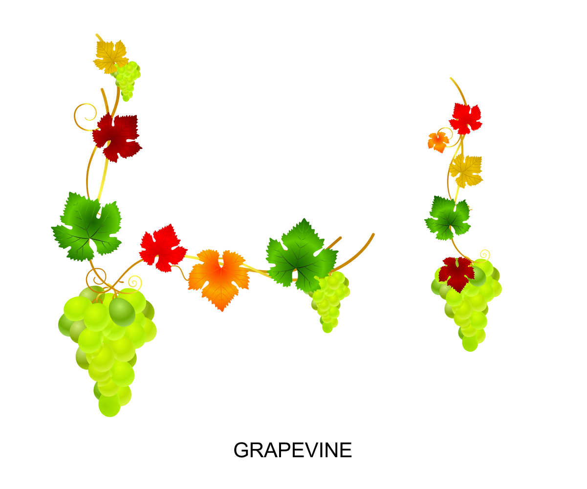 Graphic Design by Kamal for www.Gifts4GrapeLovers.com | Design #1777993