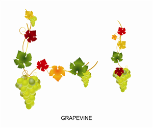 Graphic Design by Kamal for www.Gifts4GrapeLovers.com | Design: #1777993