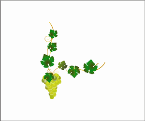 Graphic Design by Kamal for www.Gifts4GrapeLovers.com | Design: #1782917