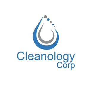 Logo Design by aliasnain