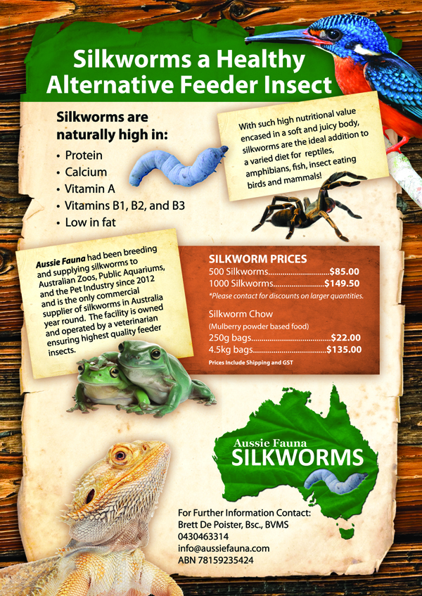 Flyer Design by earldesigns for this project | Design #6596647
