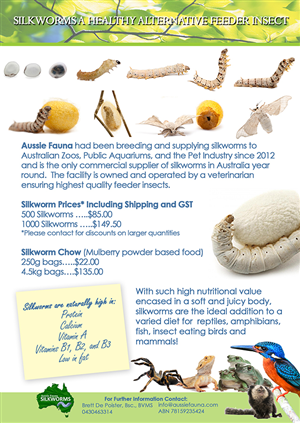 Flyer Design by Juuri