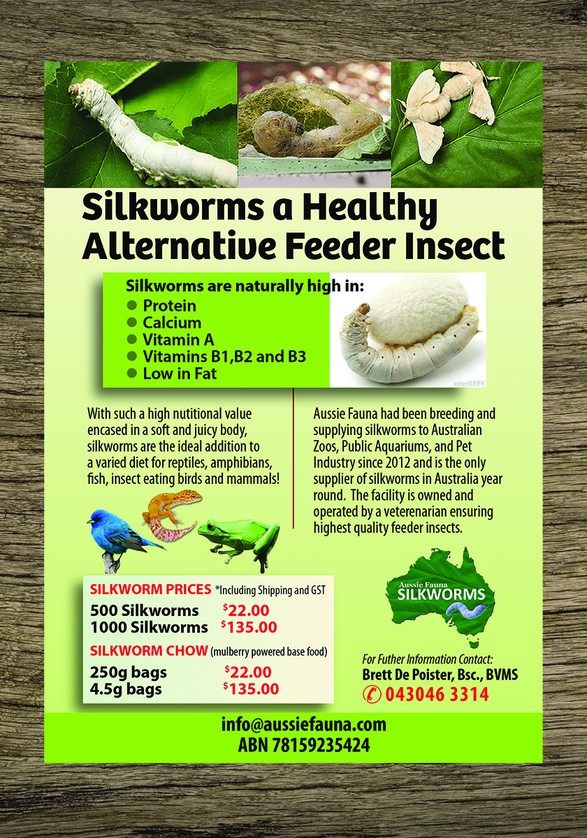 Flyer Design by Venus L. Penaflor for this project | Design #6563521