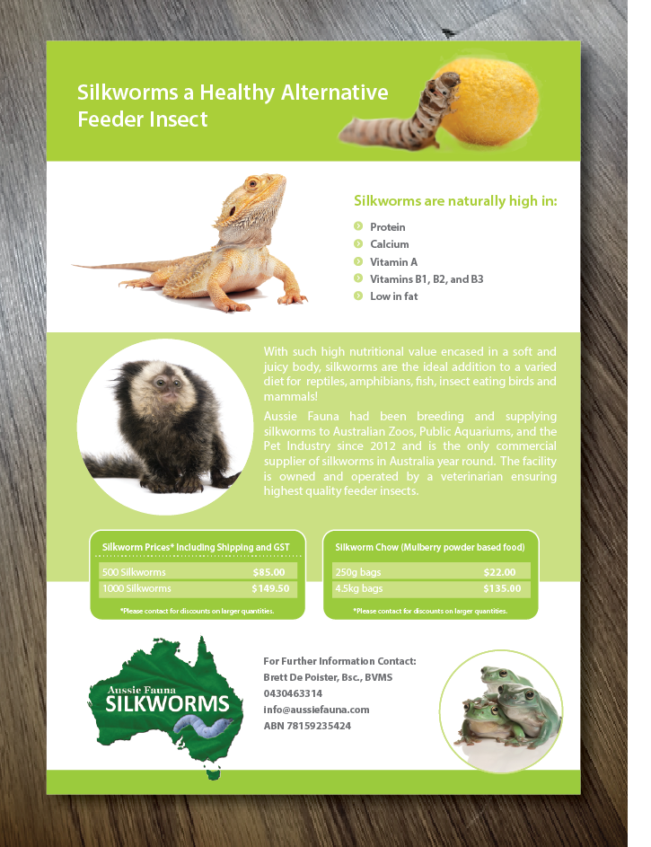 Flyer-Design von alex989 für dieses Projekt | Design #6573933