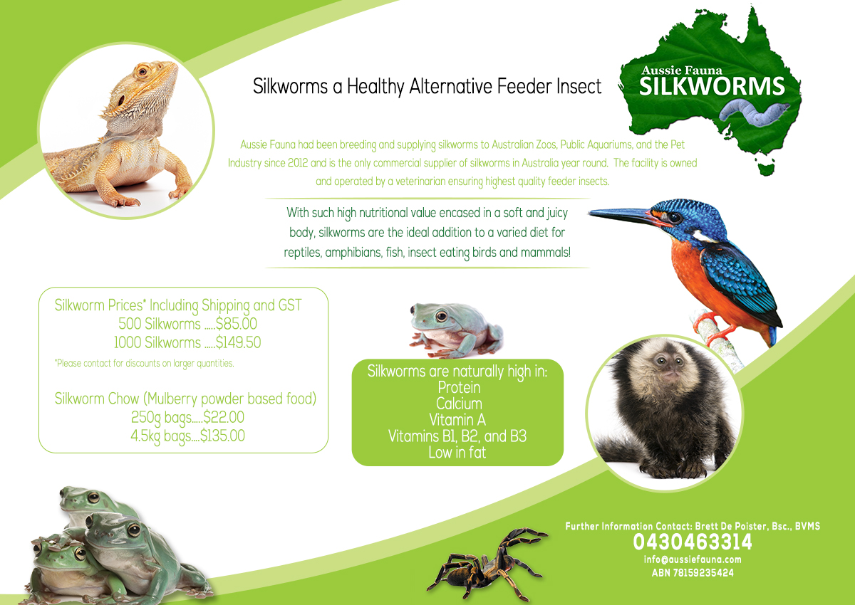 Flyer Design by leuchi for this project | Design #6568359