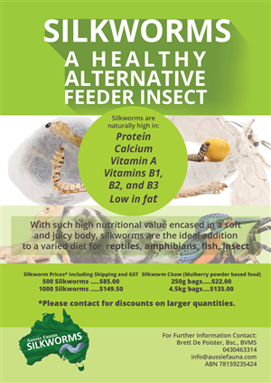 Flyer Design by vienarts for this project | Design: #6606273