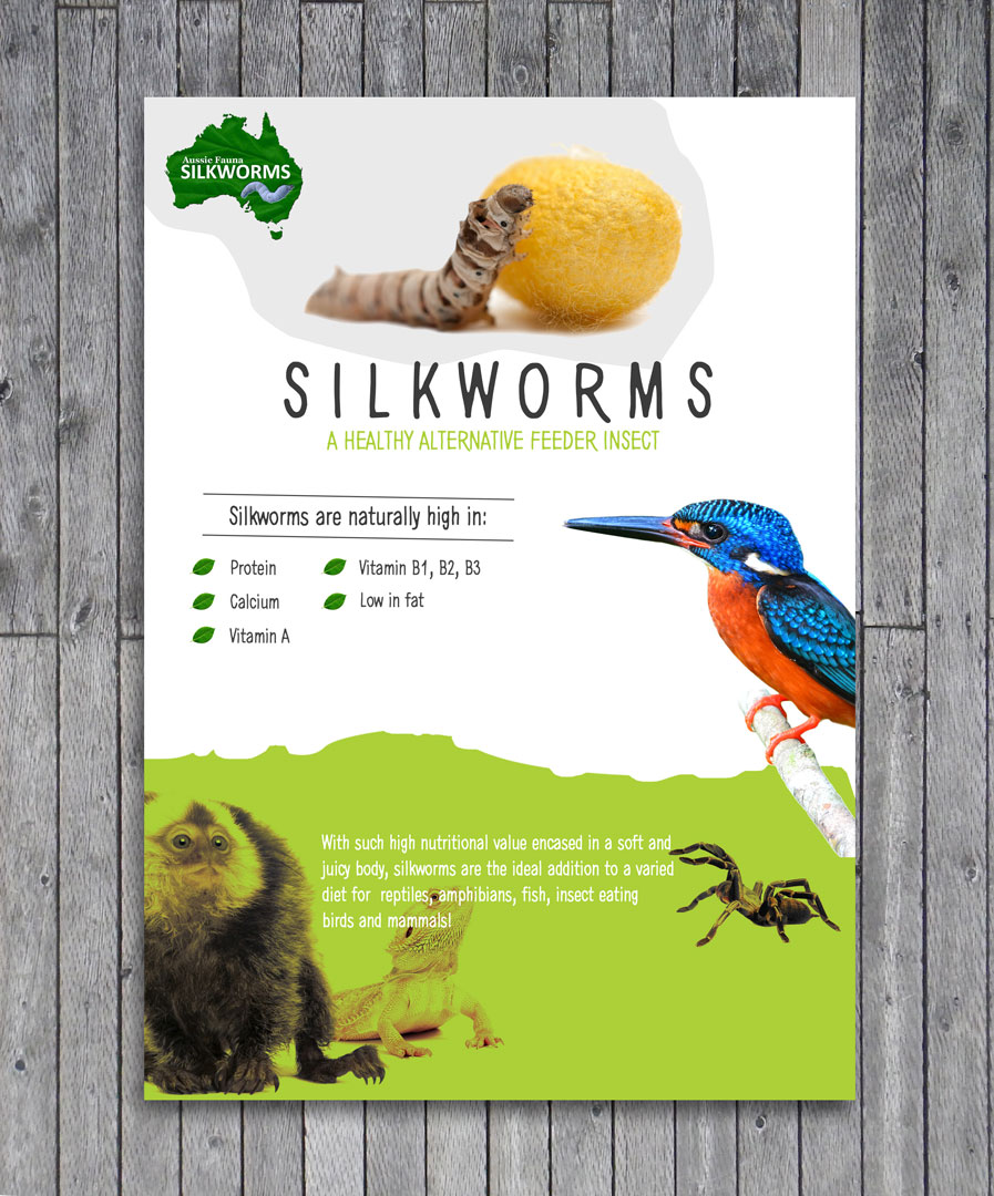 Flyer Design by Craftedium for this project | Design #6584913