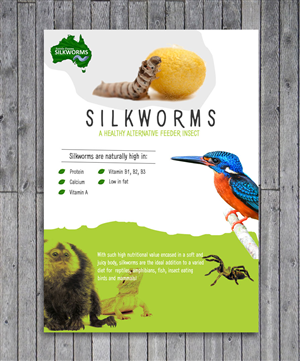 Flyer Design by Craftedium