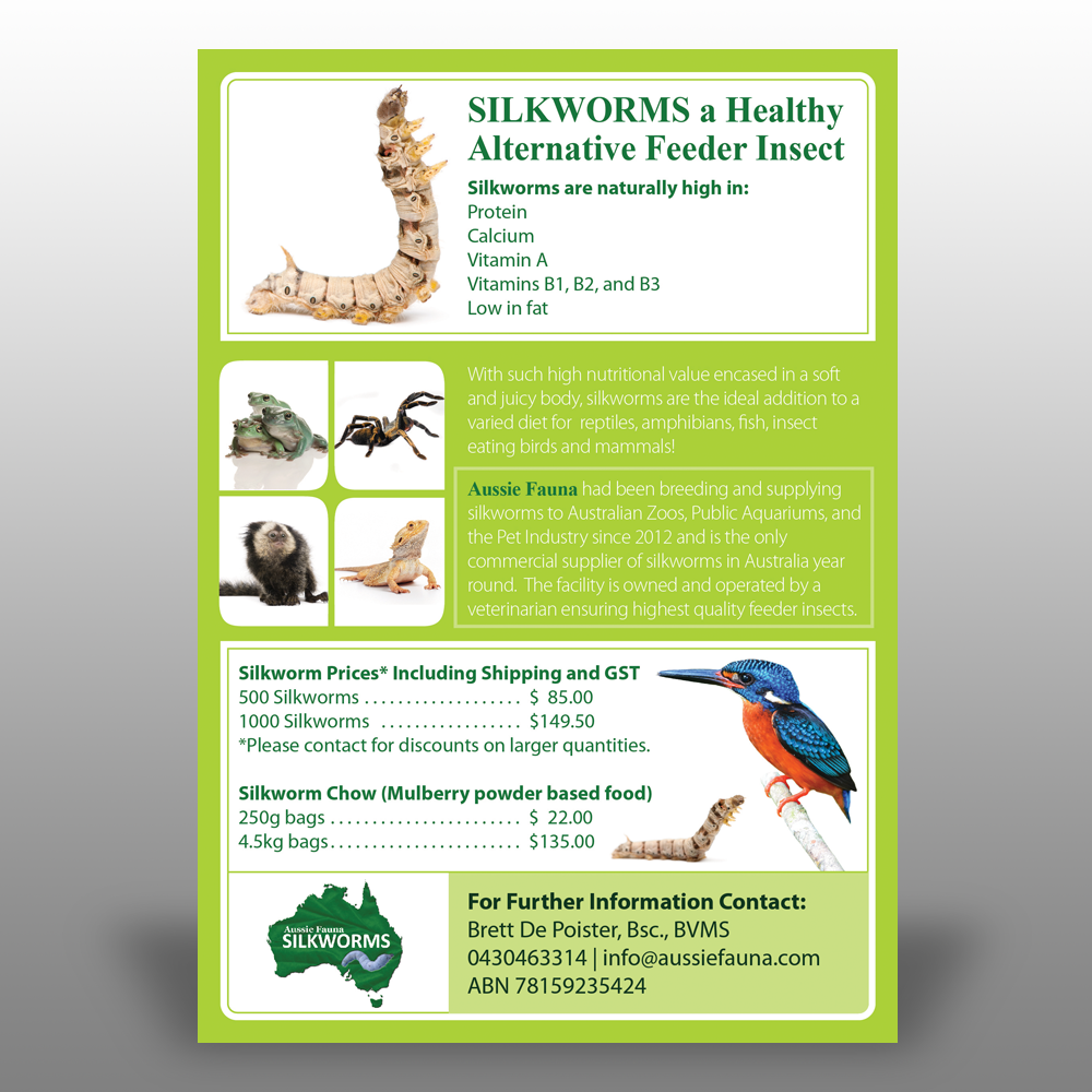 Flyer Design by Mon01 for this project | Design #6571187