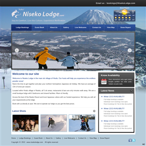 Diseño Wordpress por pb para Mineral Carbonation International | Diseño: #1721682