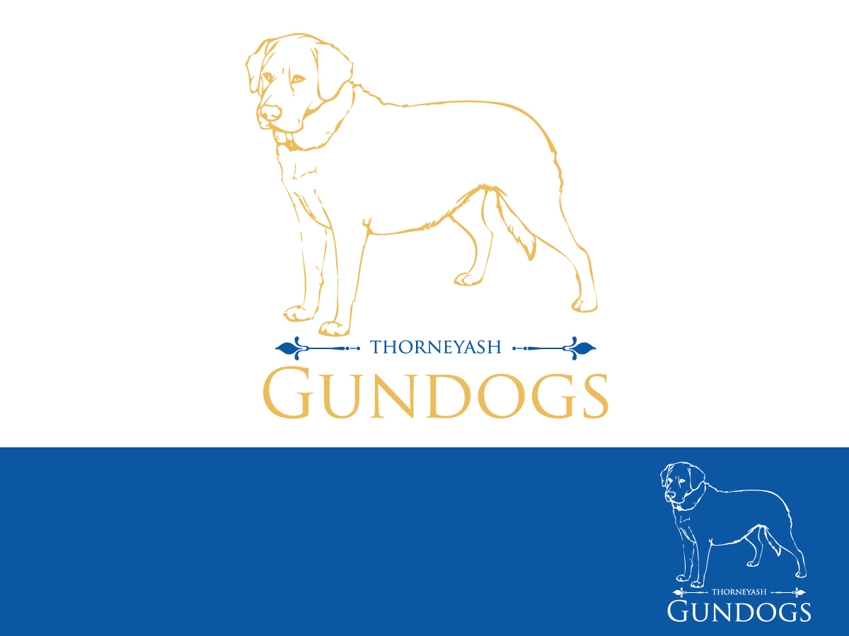 Logo Design by Kburks for this project | Design #6614699
