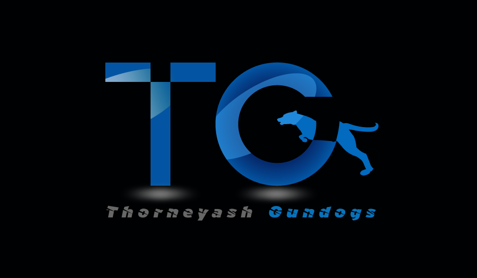 Logo Design by logo_creator for this project | Design #6567332