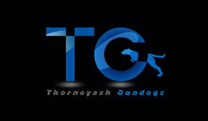 Logo-Design von logo_creator für dieses Projekt | Design #6567332