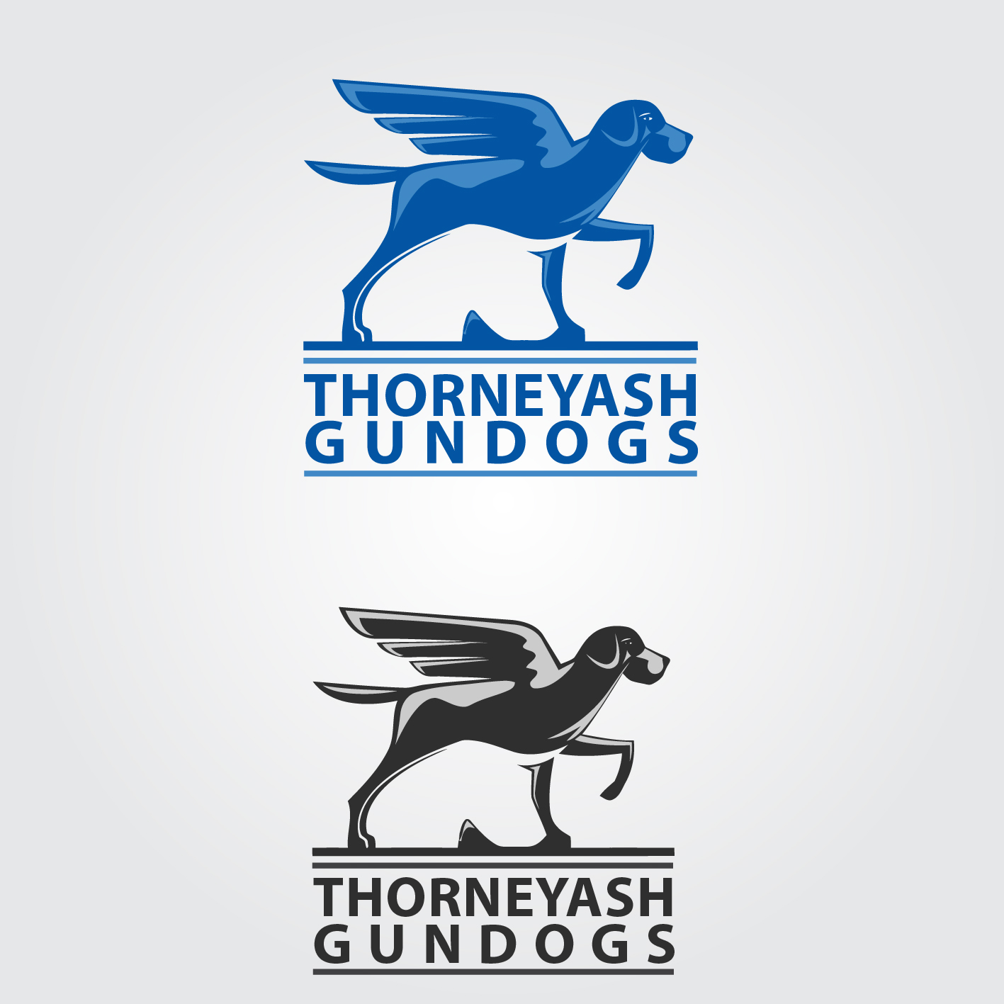 Logo Design by Sharaan Momin for this project | Design #6604762