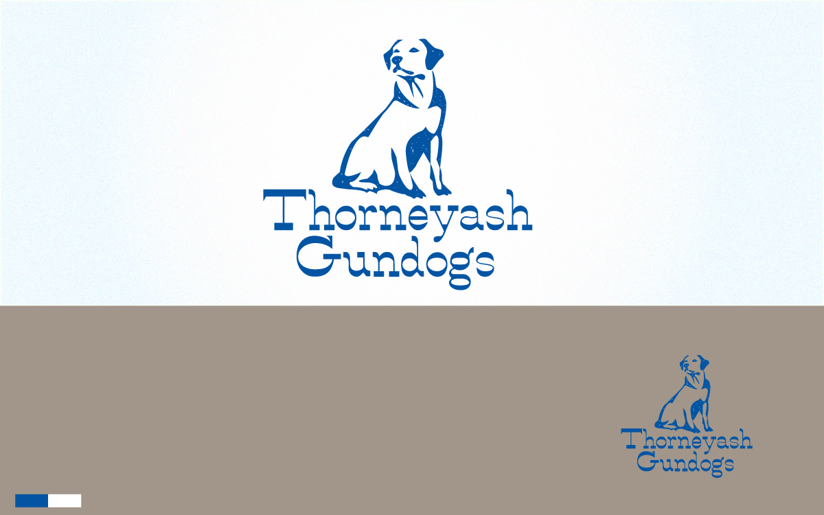 Design de Logo par tballest pour ce projet | Design #6600994