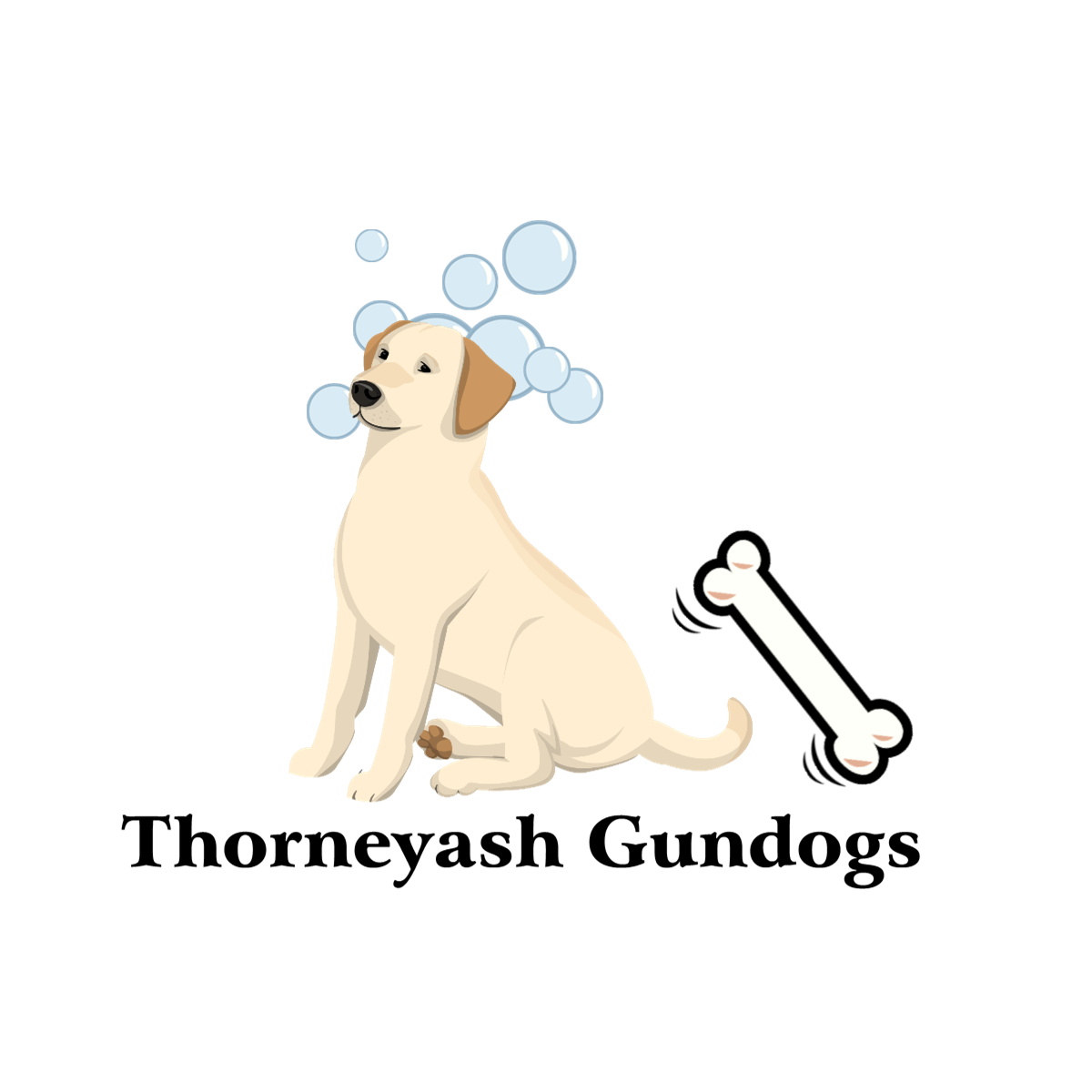Logo-Design von yunuskaradeniz87 für dieses Projekt | Design #6566223
