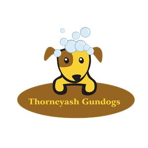 Logo Design by yunuskaradeniz87 for this project | Design: #6566240