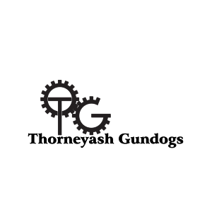 Logo Design by yunuskaradeniz87 for this project | Design: #6566481