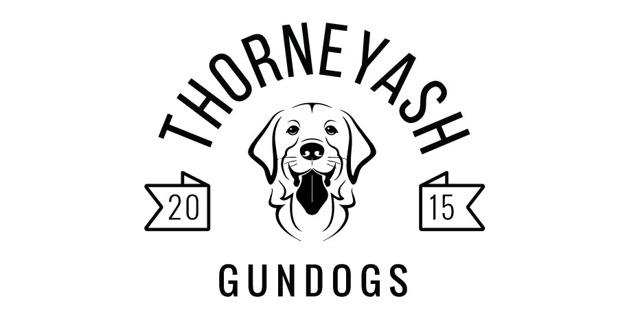 Logo Design by AngieRoxyE for this project | Design #6593375