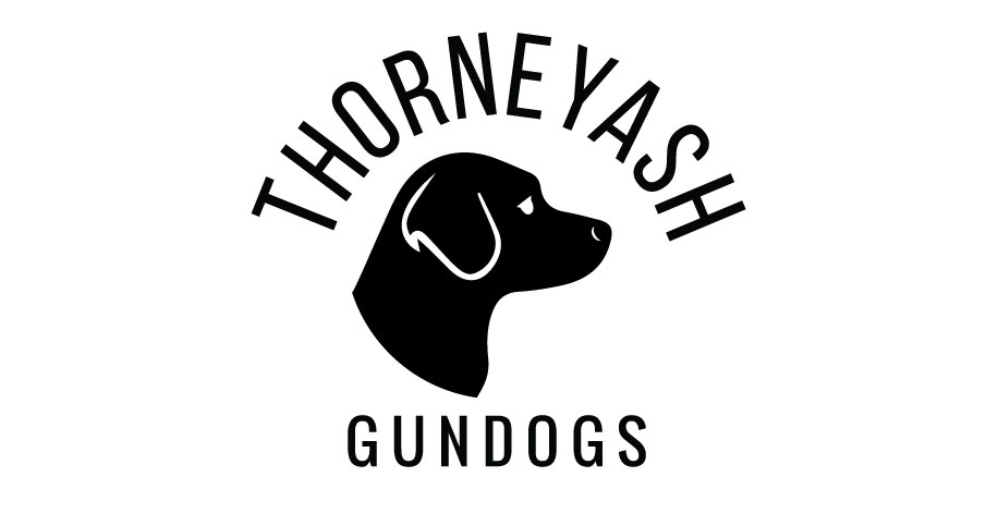 Logo Design by AngieRoxyE for this project | Design #6594582