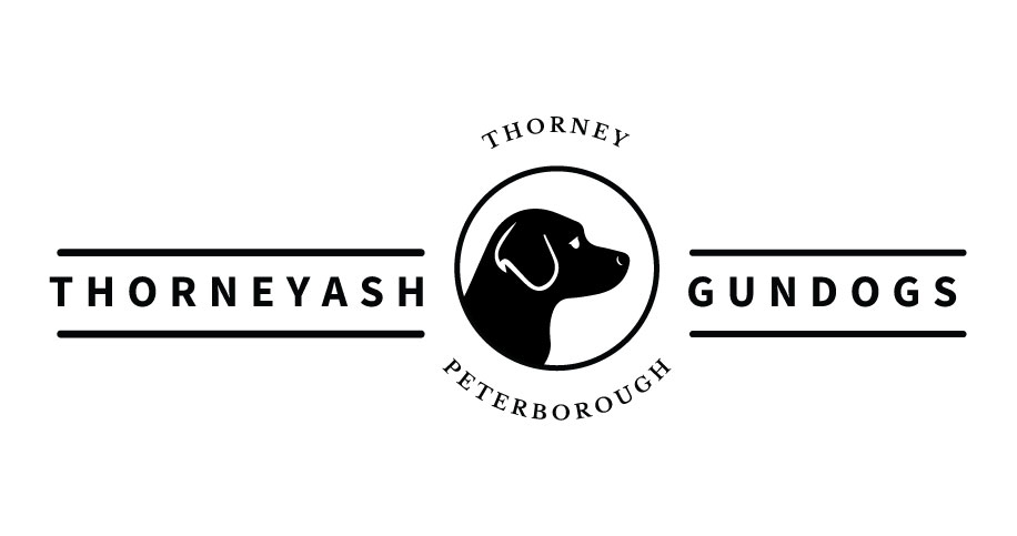 Logo Design by AngieRoxyE for this project | Design #6594585
