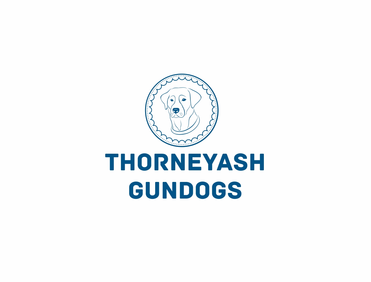 Logo Design by annasmoke for this project | Design #6614472