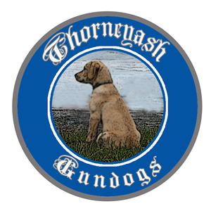 Logo Design by Mary