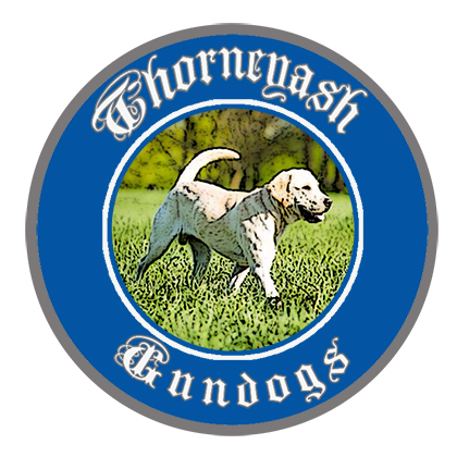 Logo Design by Mary for this project | Design #6618660