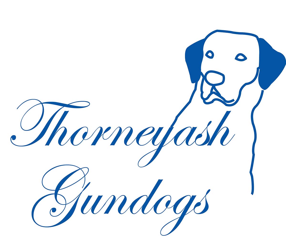 Design de Logo par arch1asem pour ce projet | Design #6568778