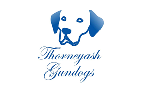 Logo Design by arch1asem