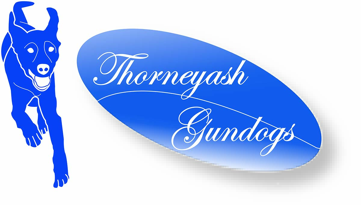 Logo Design by arch1asem for this project | Design #6574127