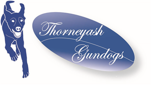 Logo Design by arch1asem for this project | Design: #6574127