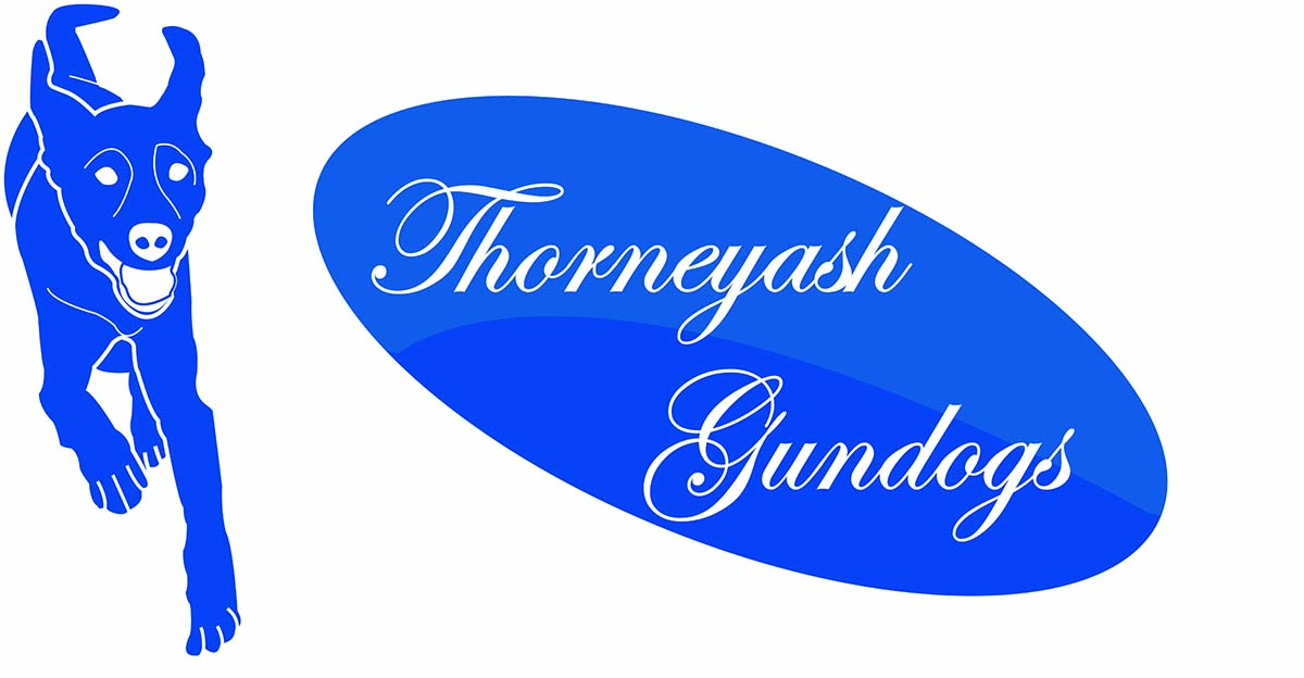 Logo Design by arch1asem for this project | Design #6574212