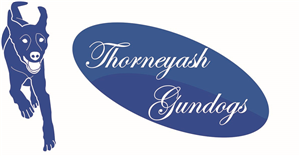 Logo Design by arch1asem for this project | Design: #6574212