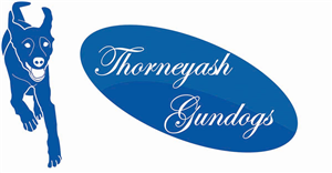 Logo Design by arch1asem for this project | Design: #6574272