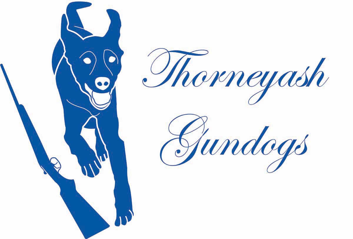 Logo Design by arch1asem for this project | Design #6574322