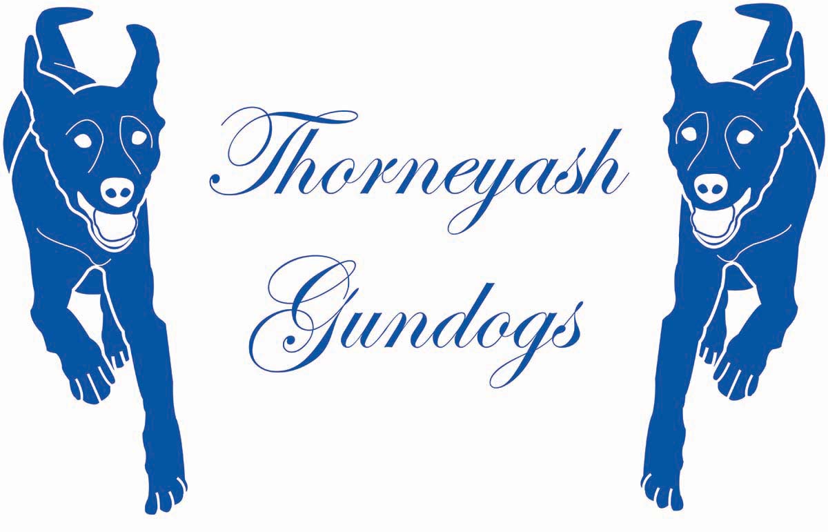 Design de Logo par arch1asem pour ce projet | Design #6574340