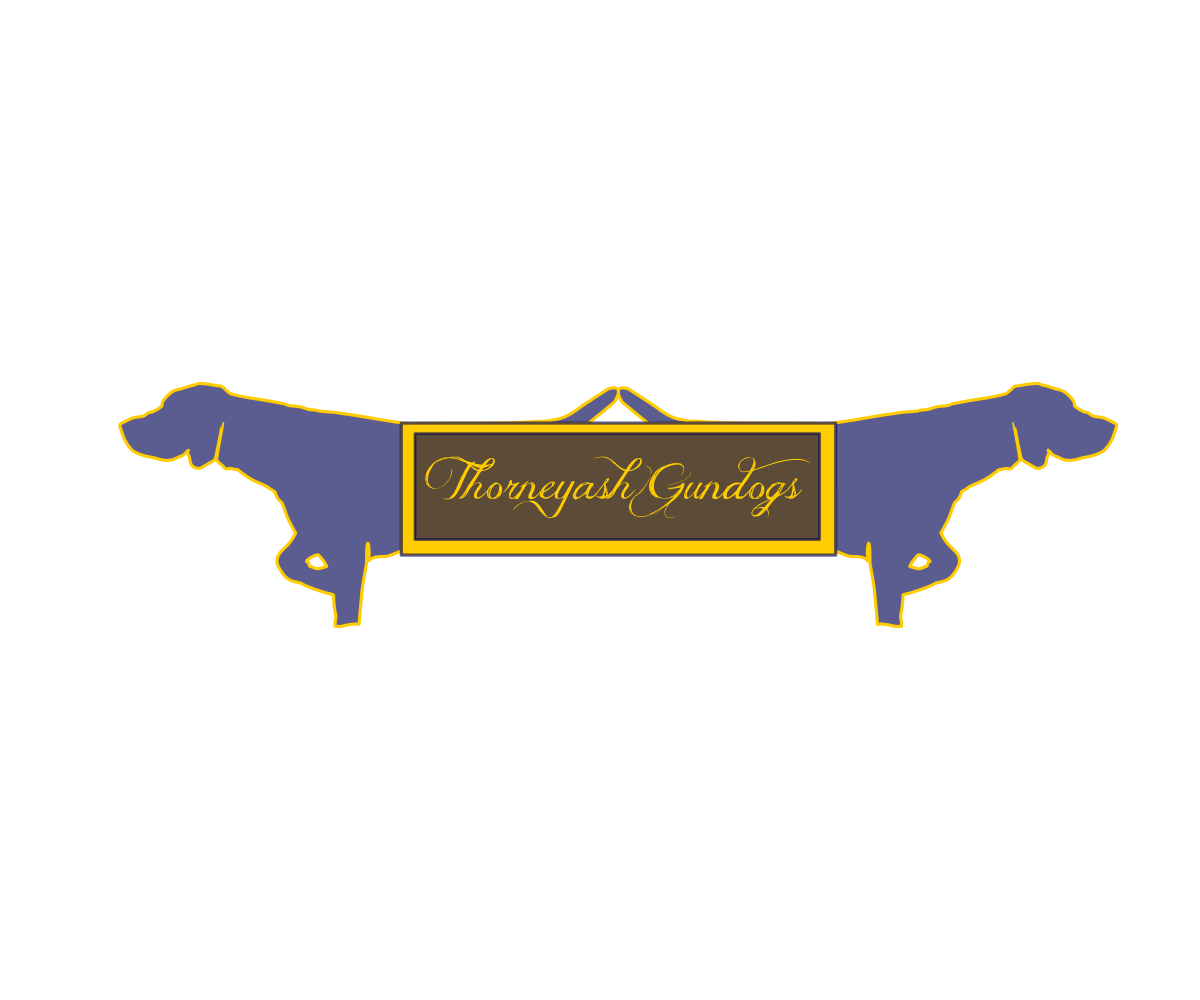 Logo Design by GerecomPT for this project | Design #6567398