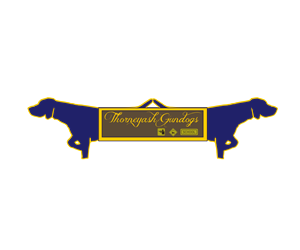 Logo Design by GerecomPT