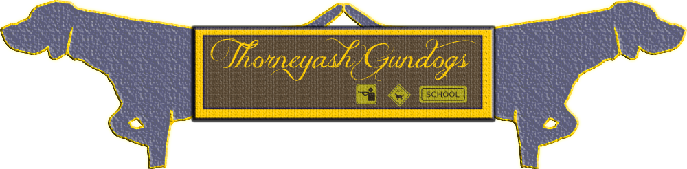 Logo Design by GerecomPT for this project | Design #6568508
