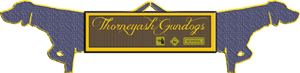 Logo-Design von GerecomPT für dieses Projekt | Design #6568508