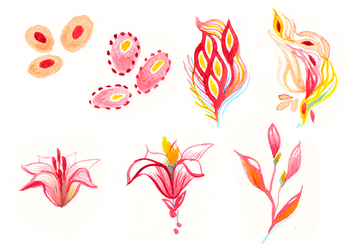 Illustration Design by Daniel318 for Kasia Beautiful Health Skin Care | Design #6610722