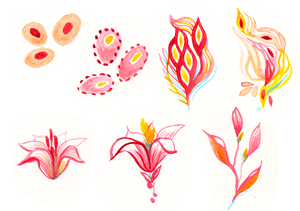 Illustration Design by Daniel318