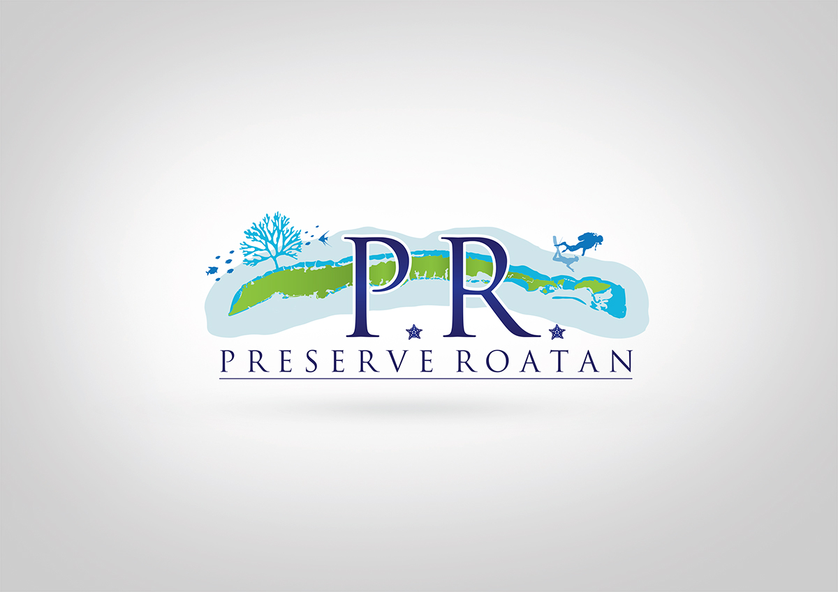 Diseño de Logo por dm.design para Steve Cantin Productions LLC | Diseño #6589778