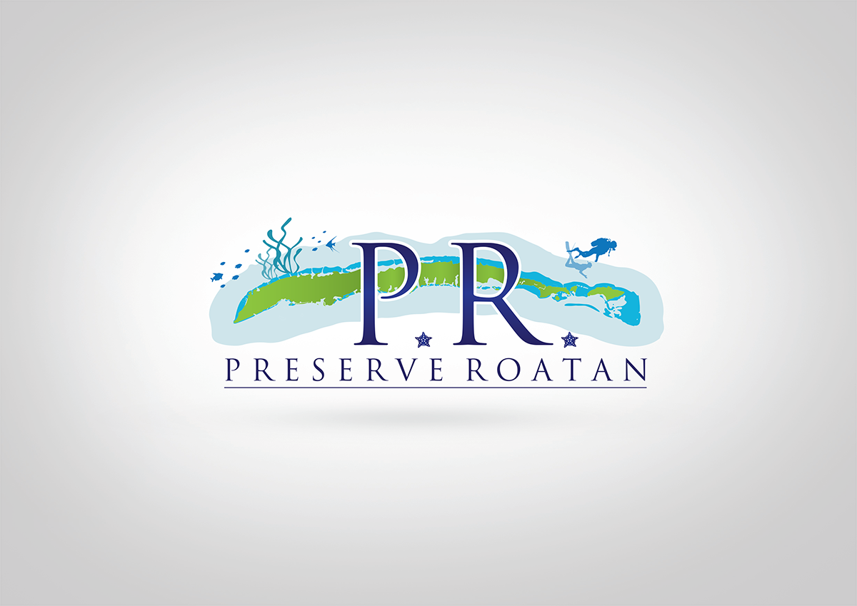 Diseño de Logo por dm.design para Steve Cantin Productions LLC | Diseño #6603027