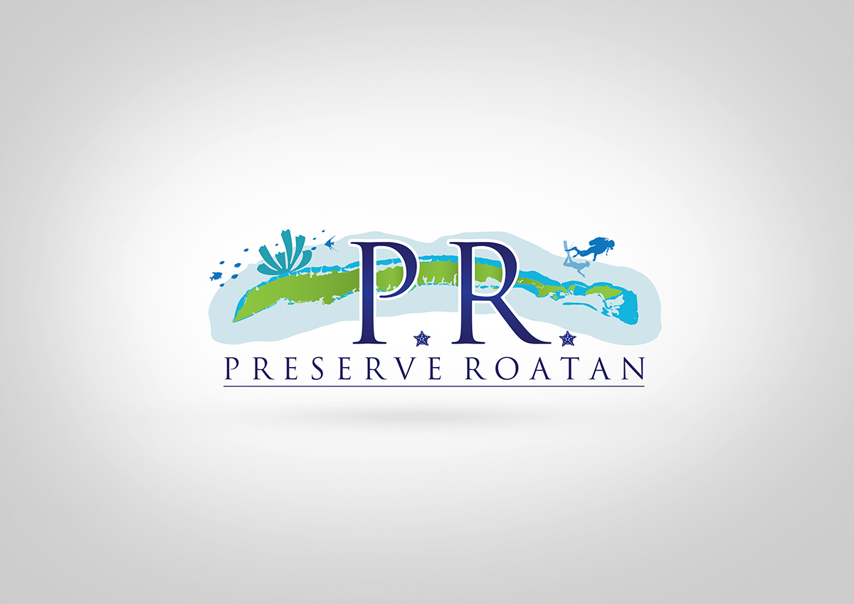 Logo Design by dm.design for Steve Cantin Productions LLC | Design #6603031