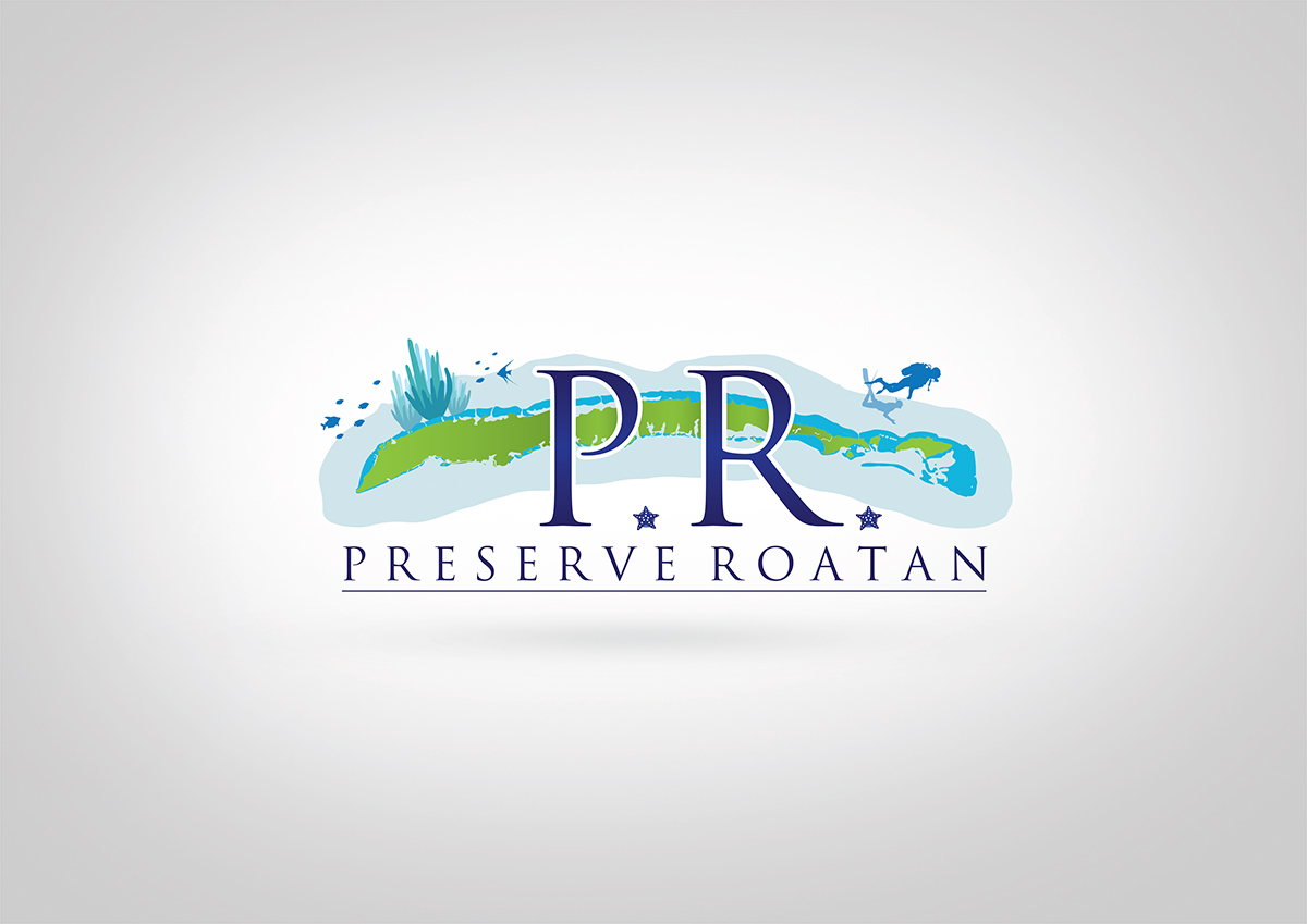 Logo-Design von dm.design für Steve Cantin Productions LLC | Design #6625049