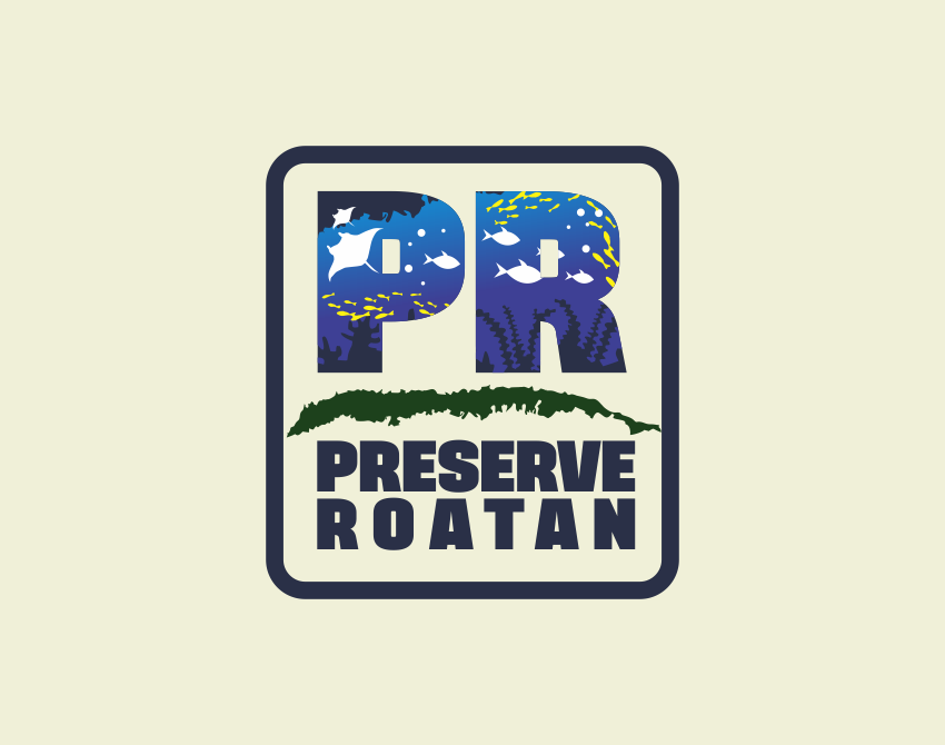 Diseño de Logo por pa2pat para Steve Cantin Productions LLC | Diseño #6579022